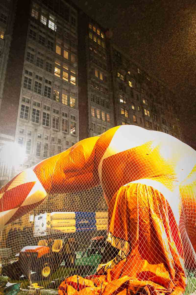 Macy's Thanksgiving Day Parade Inflation Celebration, by Kelly Williams, Photographer