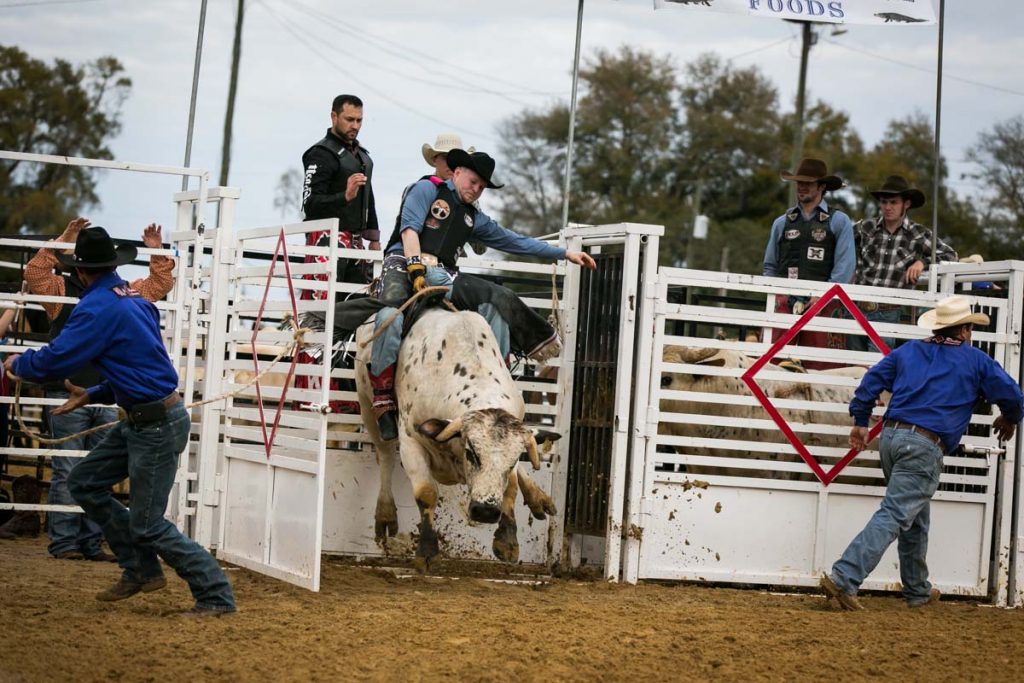 The county fair championship rodeo, by NYC photojournalist, Kelly Williams