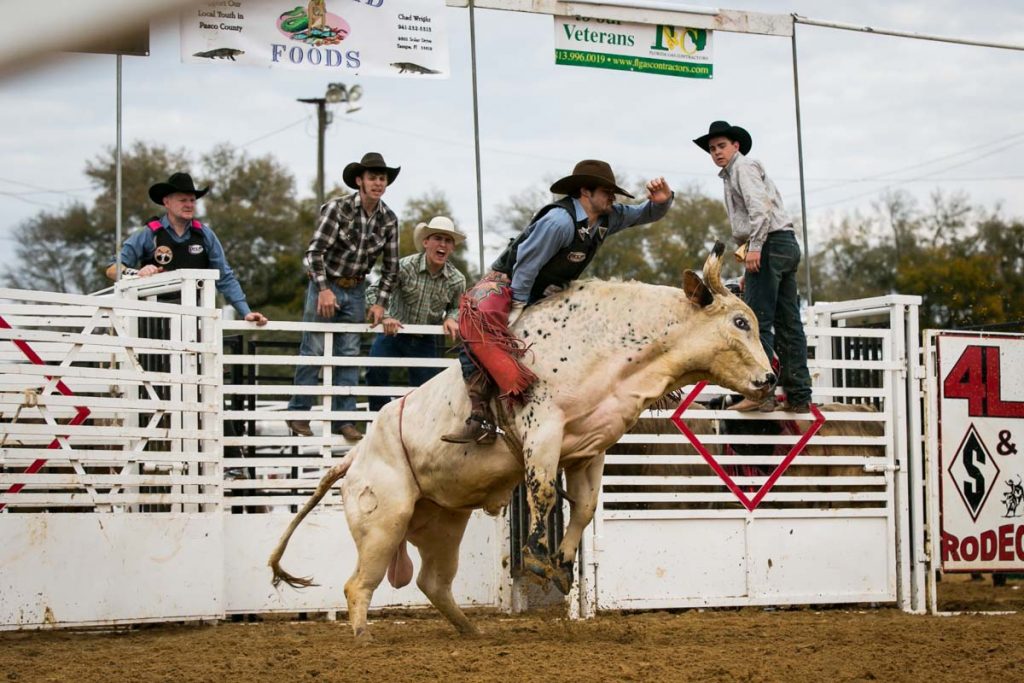 The county fair championship rodeo, by NYC photojournalist, Kelly Williams