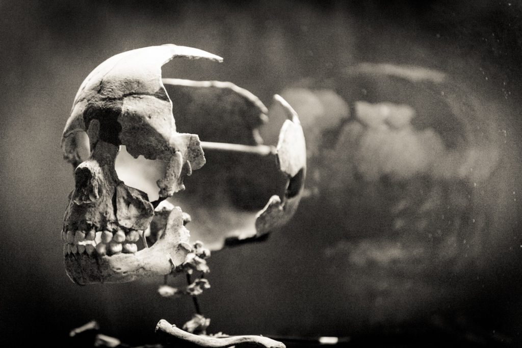 Fine art portrait series on bones by NYC photographer, Kelly Williams