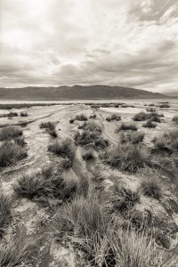 Photos of Death Valley in black and white