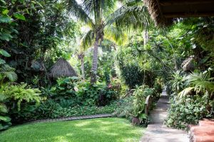 Gardens at the Hotel Manavai for an Easter Island travel guide