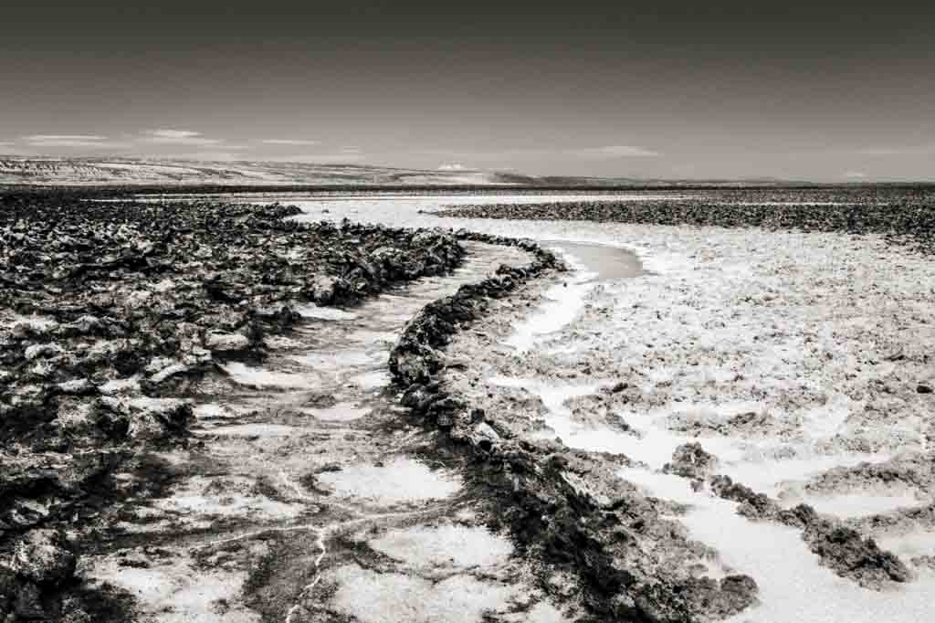 S-curved pathway at Laguna Baltinache in black and white
