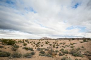 Clark County Wetlands Park