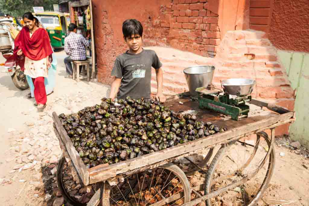 Boy selling vegetables on the street in Agra, India