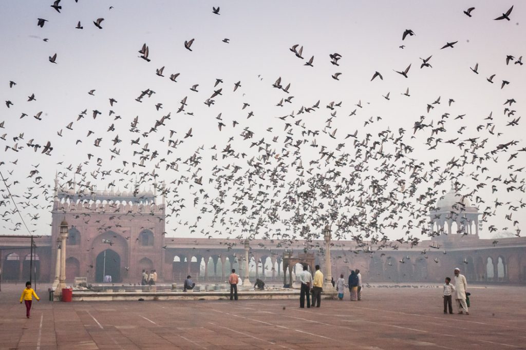 People in the courtyard of the Jama Masjid in Delhi