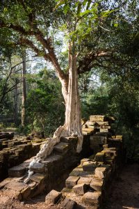 Spean Thma for an Angkor Wat temple guide