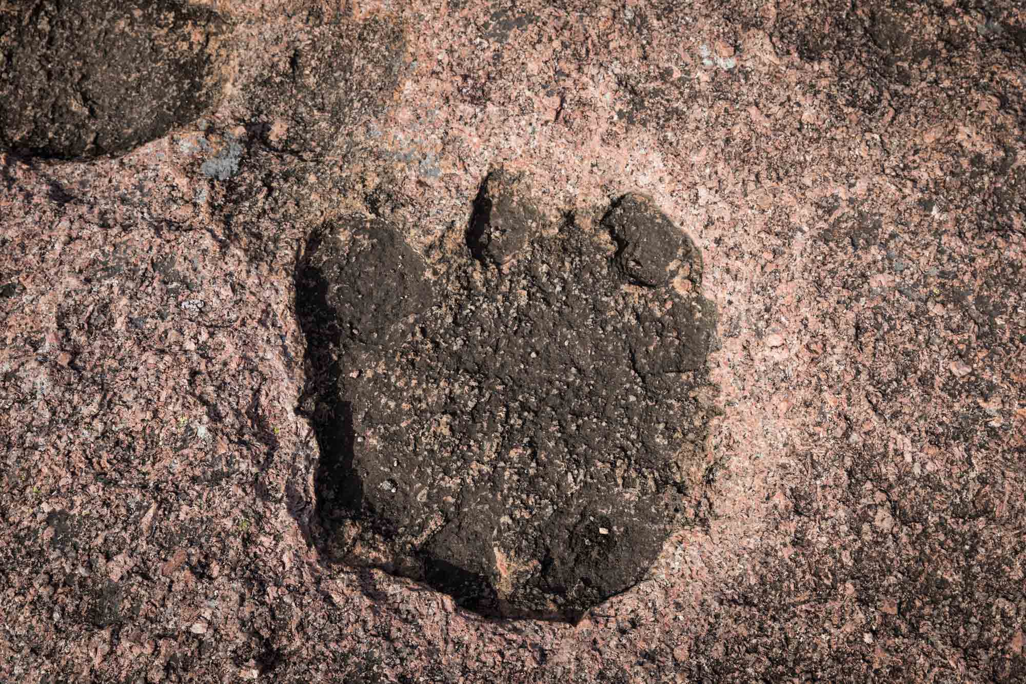 Weird footprint-like rock formation on the face of Enchanted Rock for an article on Enchanted Rock hiking trips