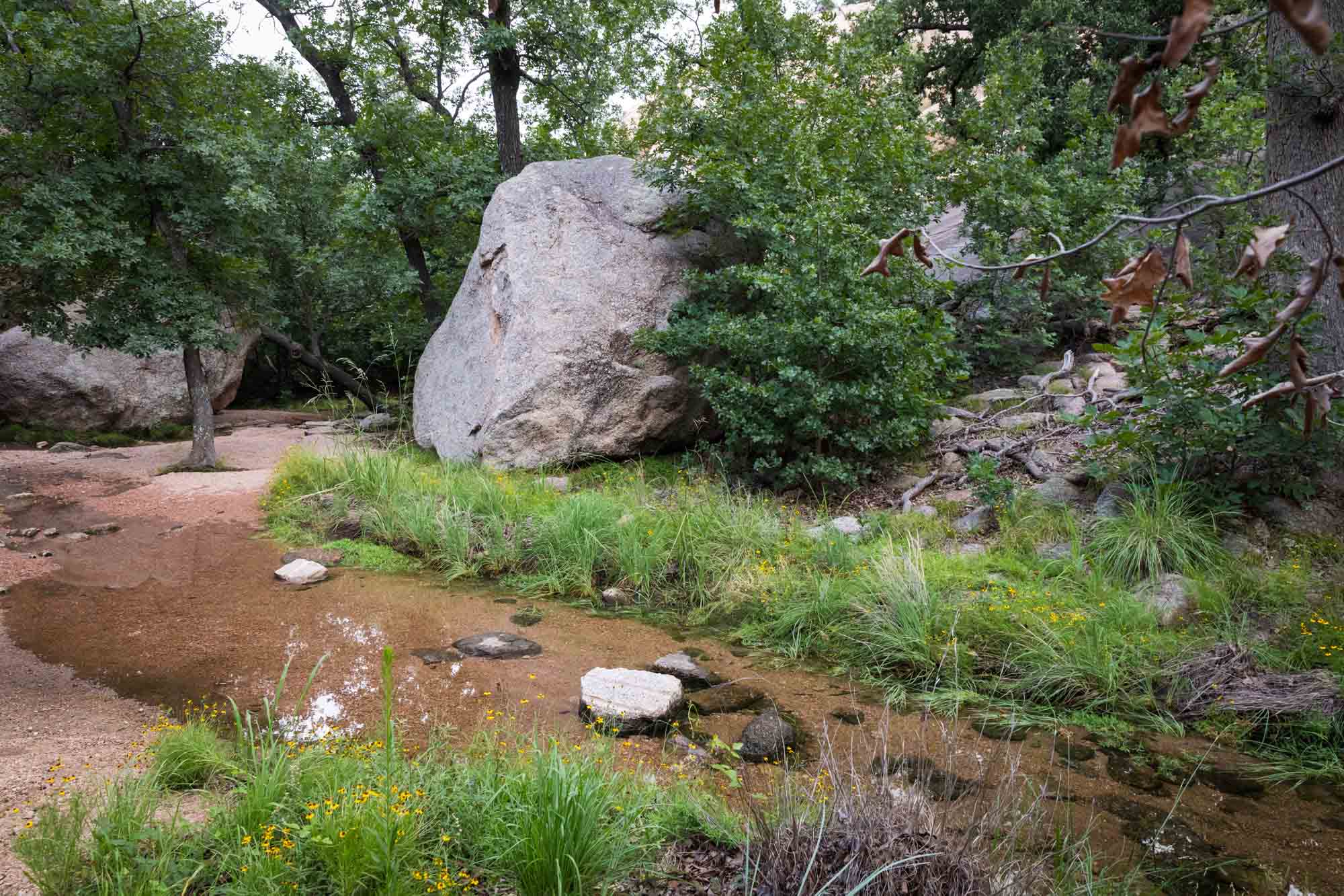 Small creek flowing past rocks and trees for an article on Enchanted Rock hiking trips