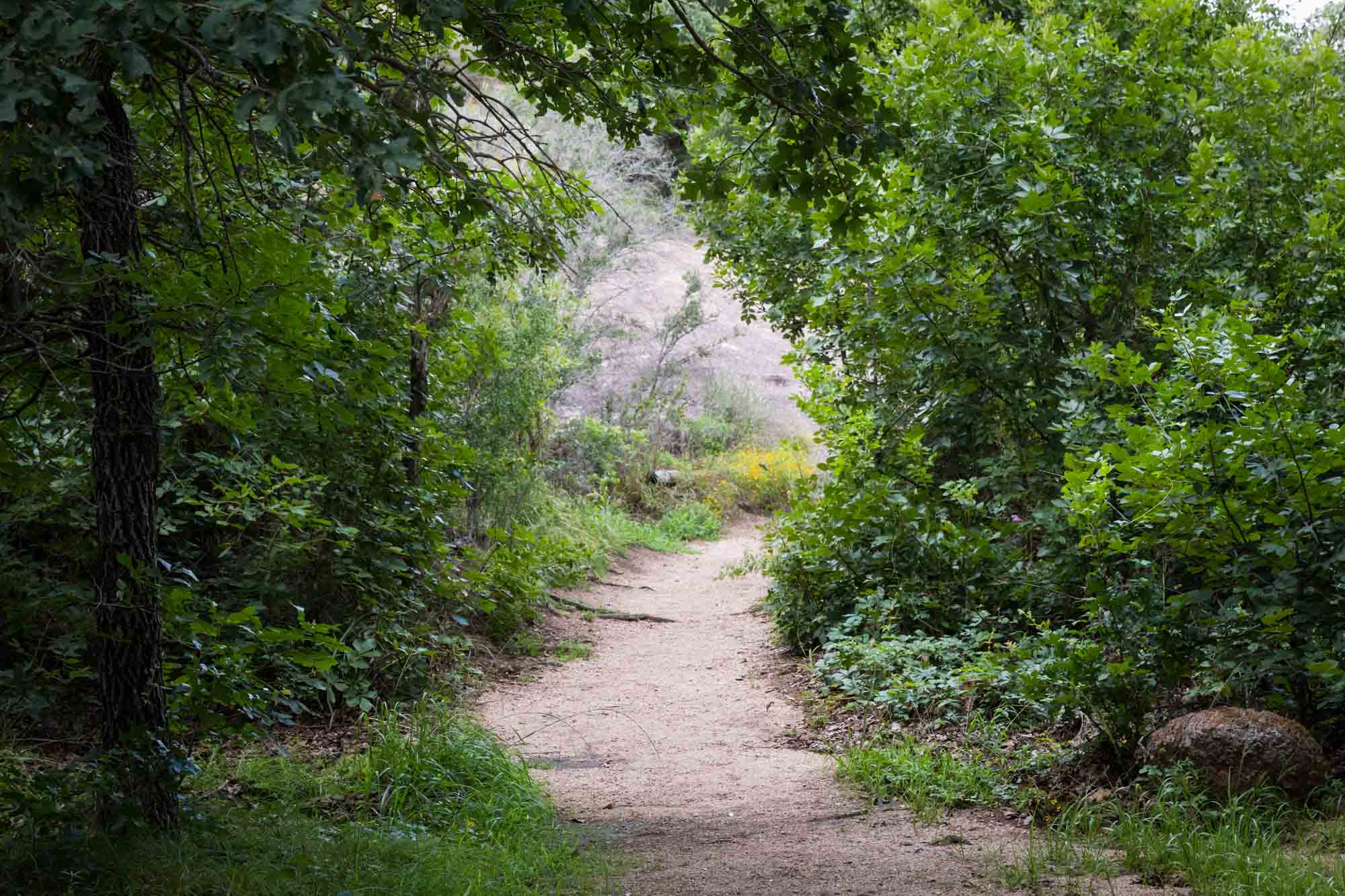 Pathway through trees leading to rock on Scenic View Trail for an article on Enchanted Rock hiking trips