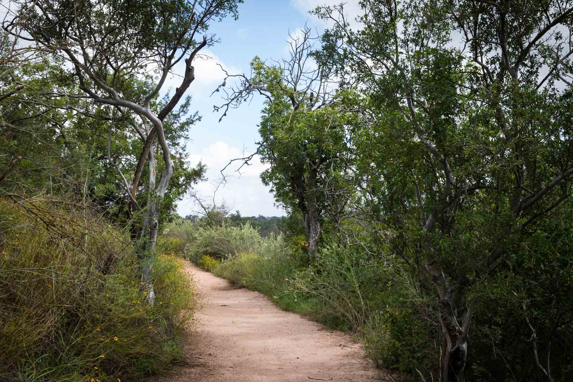 Pathway through trees on Scenic View trail for an article on Enchanted Rock hiking trips