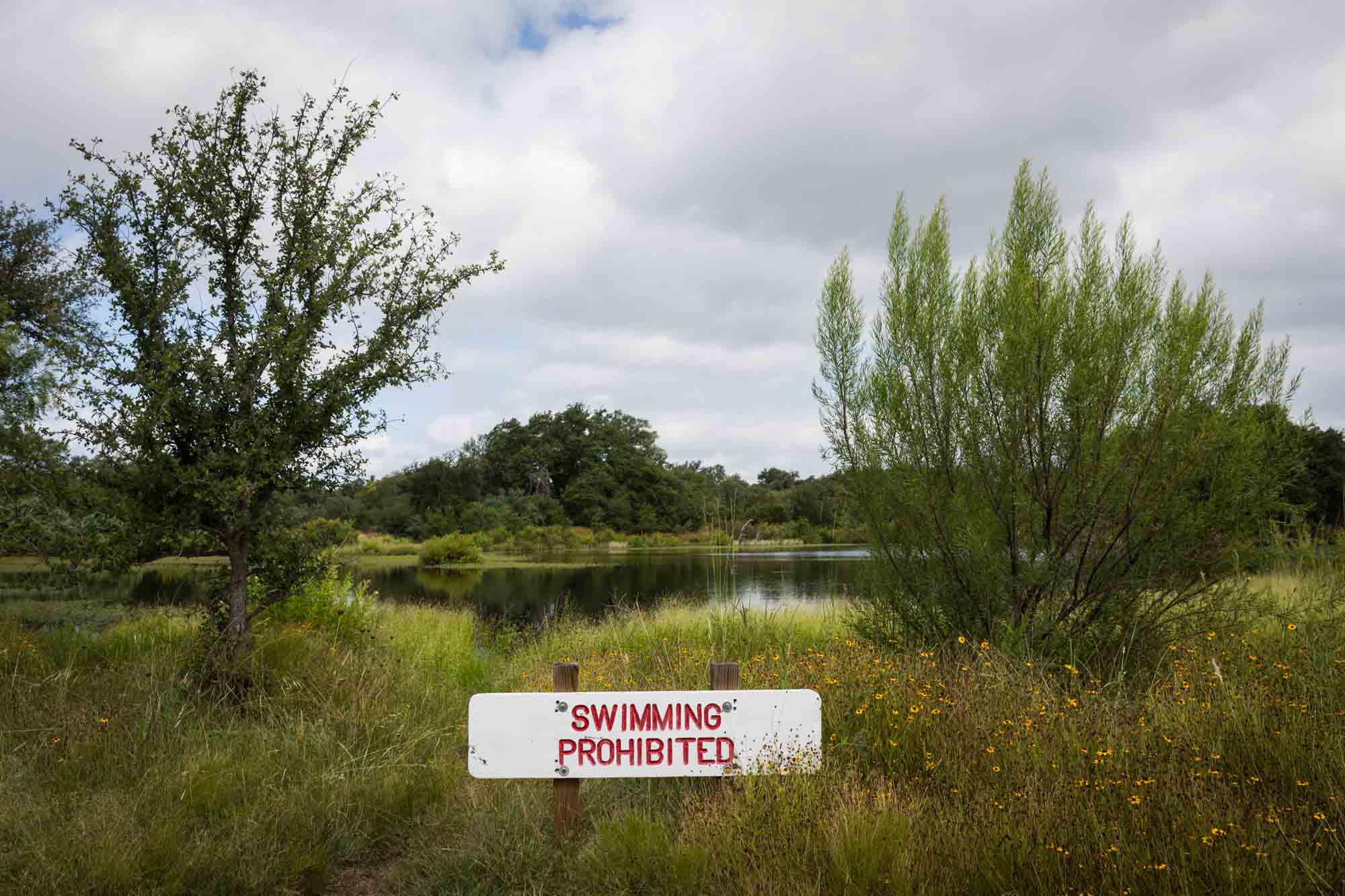 Moss Lake surrounded by bushes and sign that says swimming prohibited for an article on Enchanted Rock hiking trips