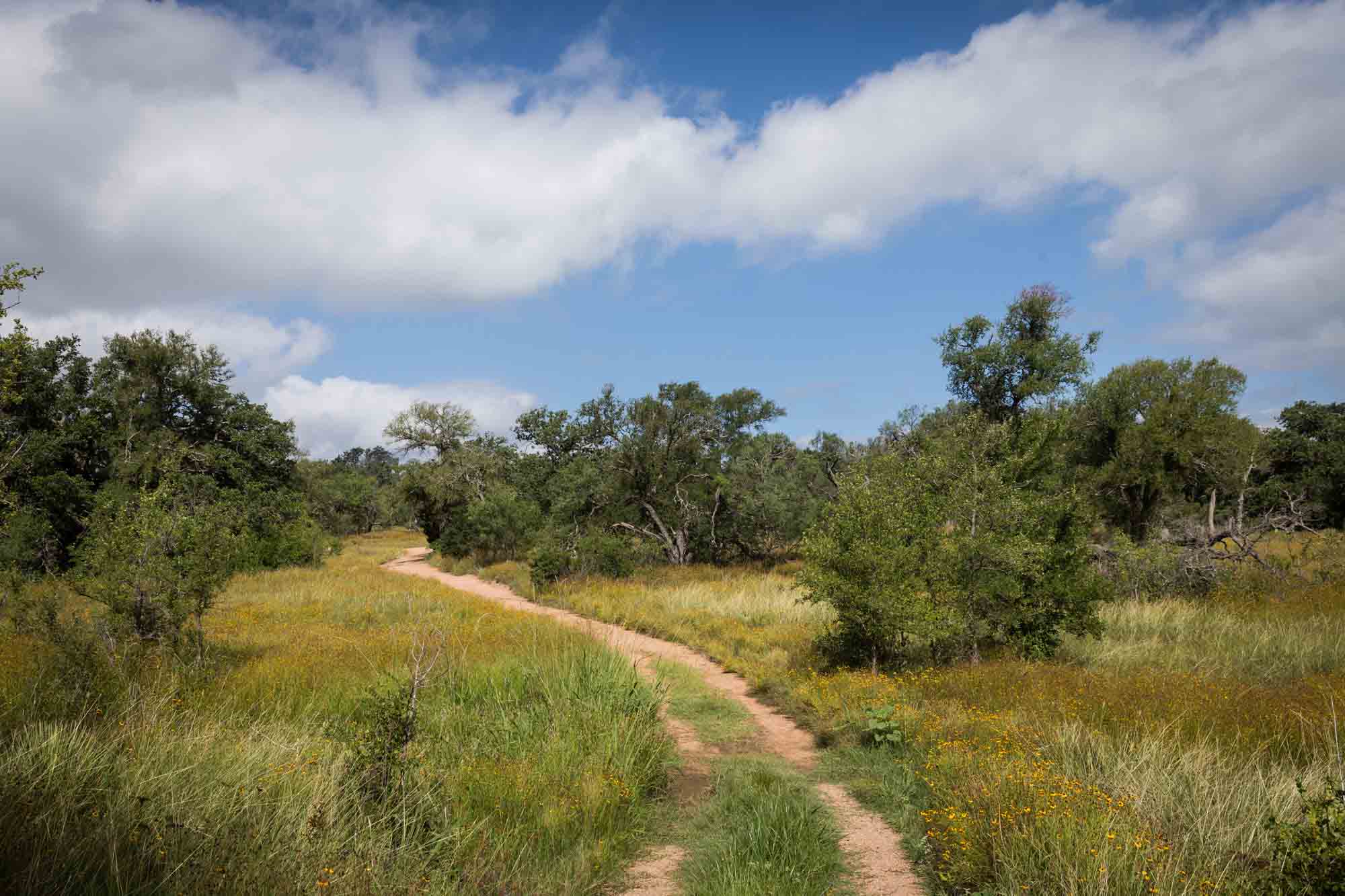 Pathway through meadow and trees for an article on Enchanted Rock hiking trips