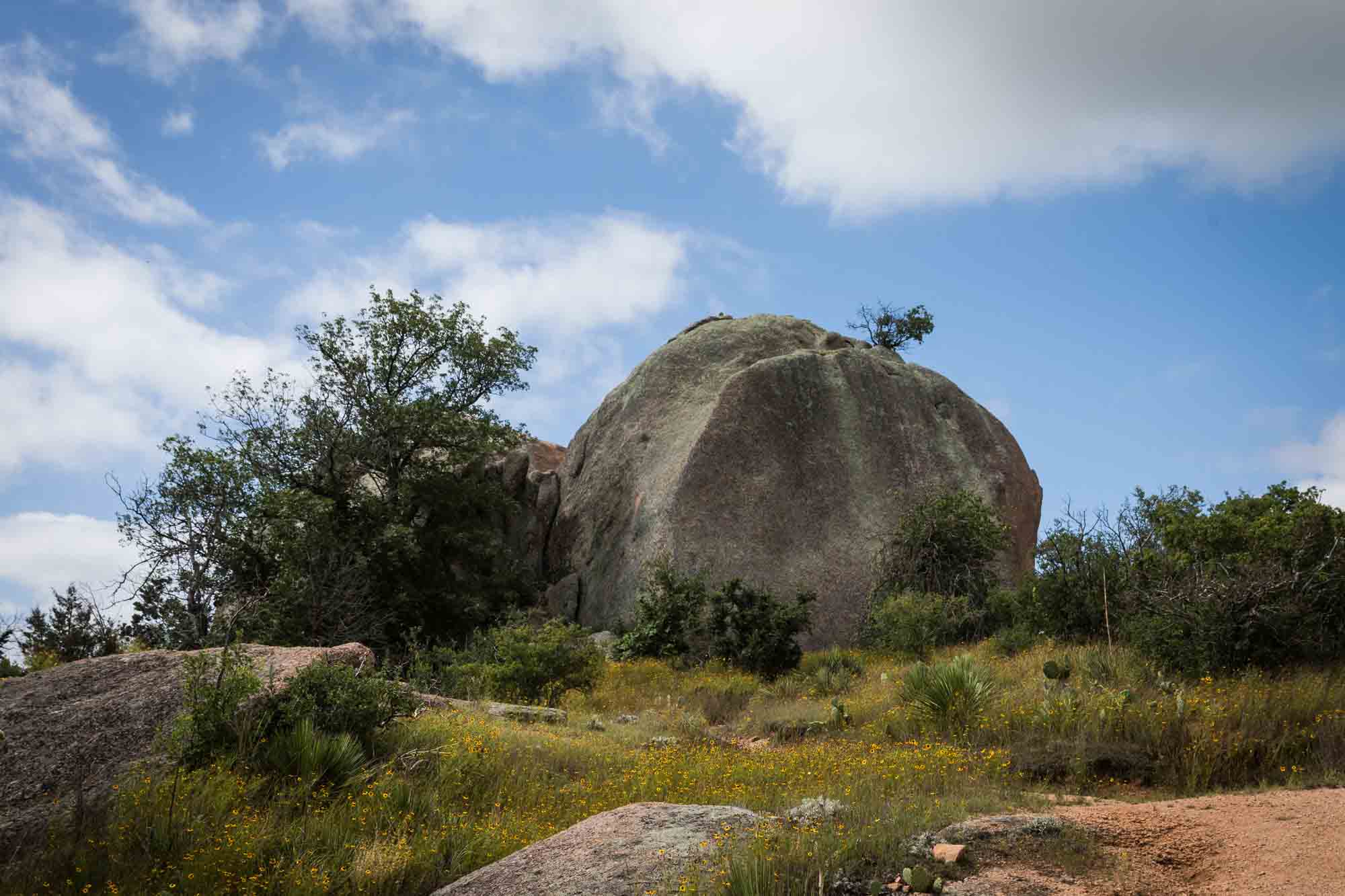 Large round rock surrounded by bushes and flowers for an article on Enchanted Rock hiking trips