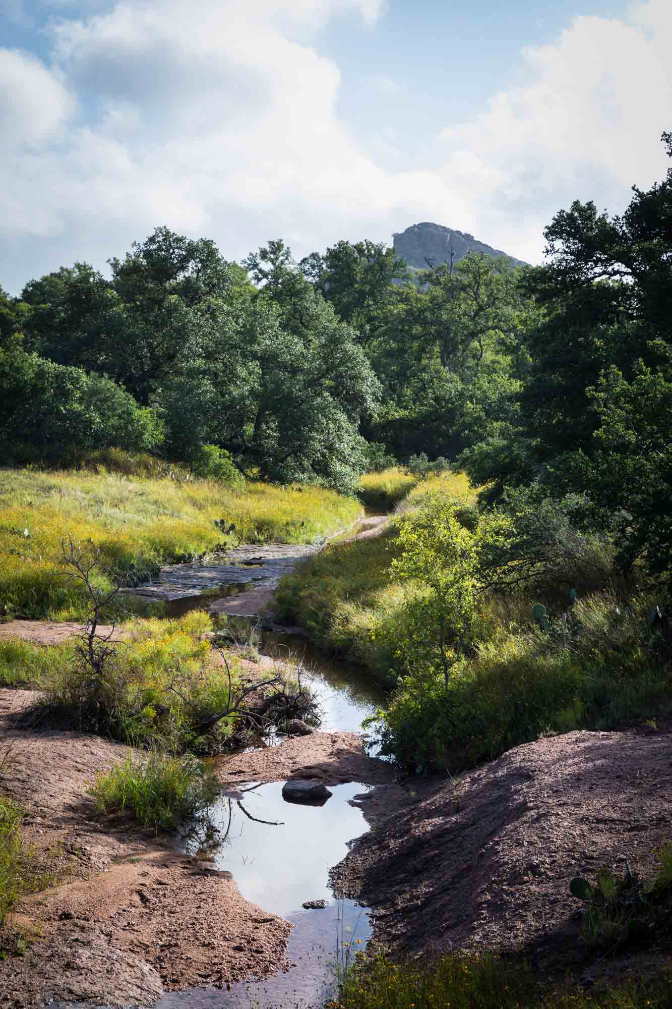 Creek flowing through plants and trees with mountain in distance for an article on Enchanted Rock hiking trips