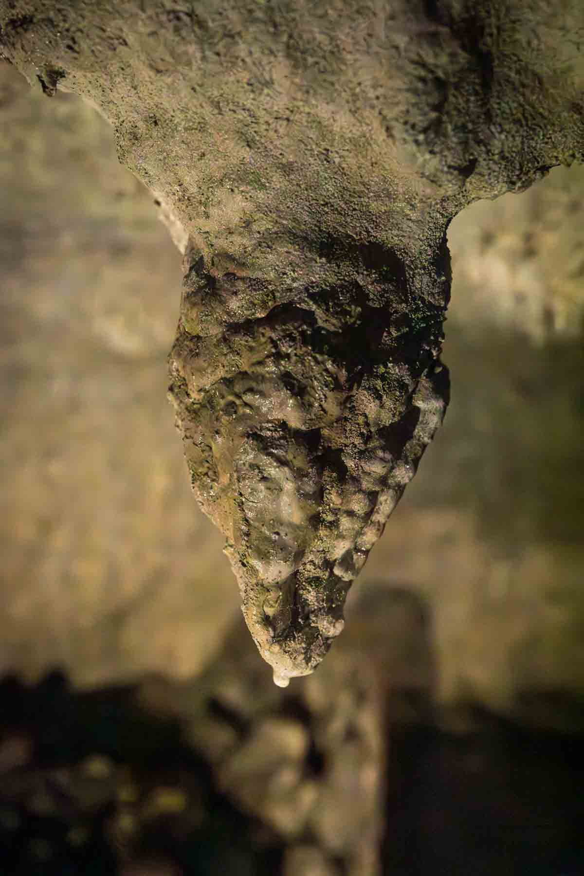 Stalactite formation on the ceiling of Cascade Caverns for an article entitled, ‘Visiting Boerne, Texas: Everything You Need to Know’