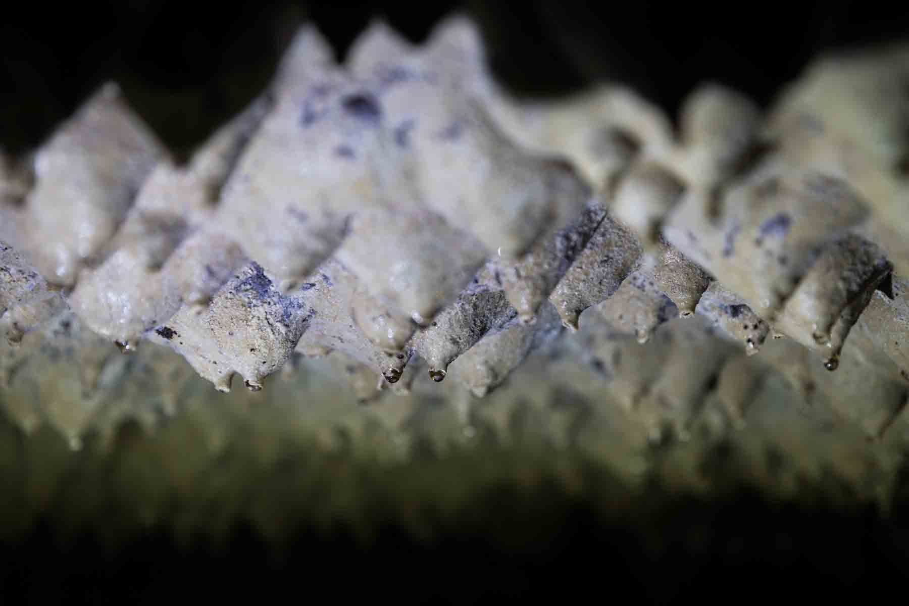 Rock formations on the ceiling of Cascade Caverns