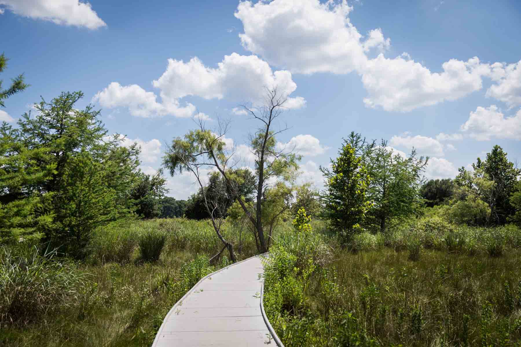 Pathway through trees and marshlands with clouds overhead for an article entitled, ‘Visiting Boerne, Texas: Everything You Need to Know’