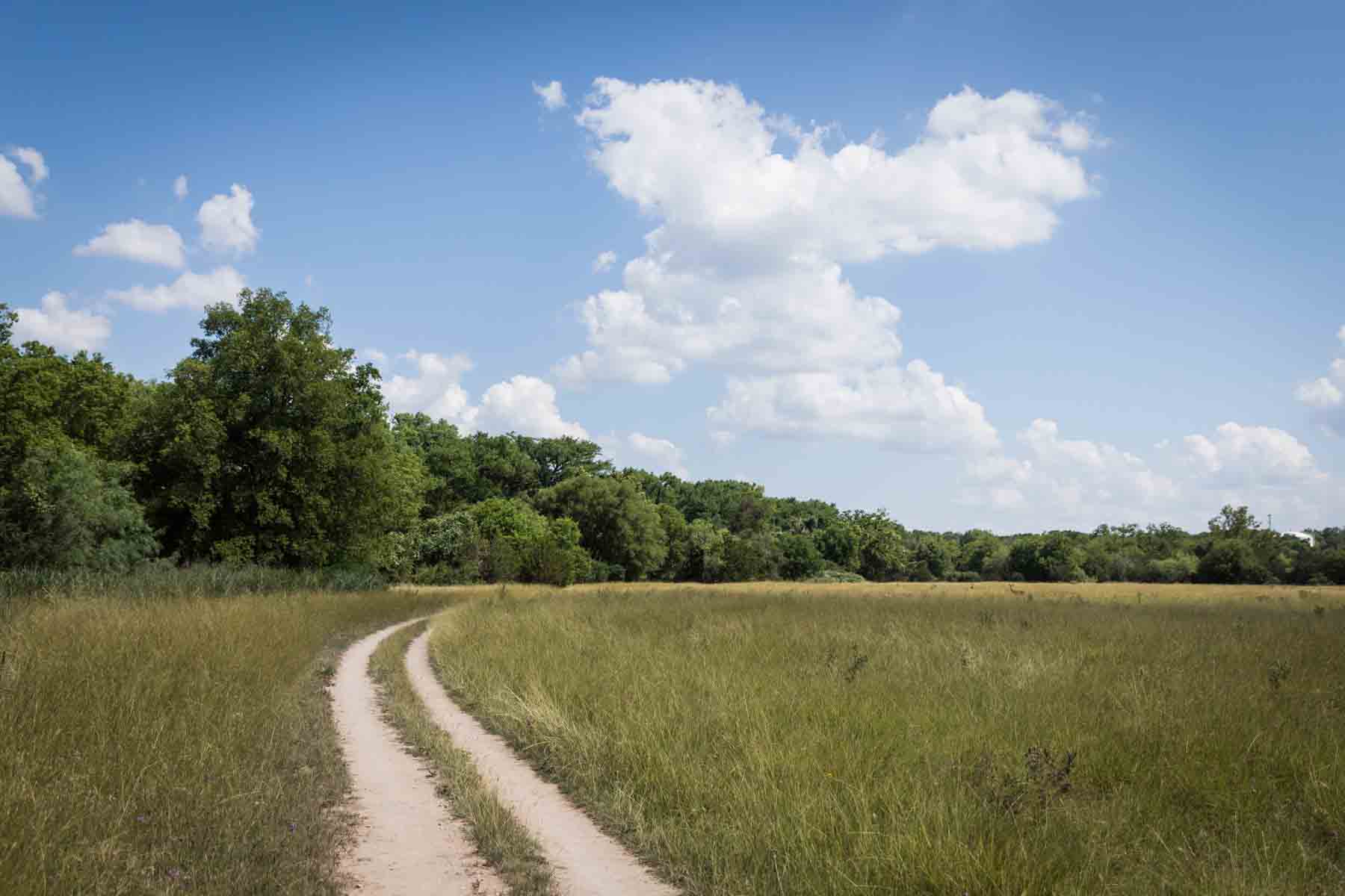 Pathway through Monarch meadow in Cibolo Center for Conservation for an article entitled, ‘Visiting Boerne, Texas: Everything You Need to Know’