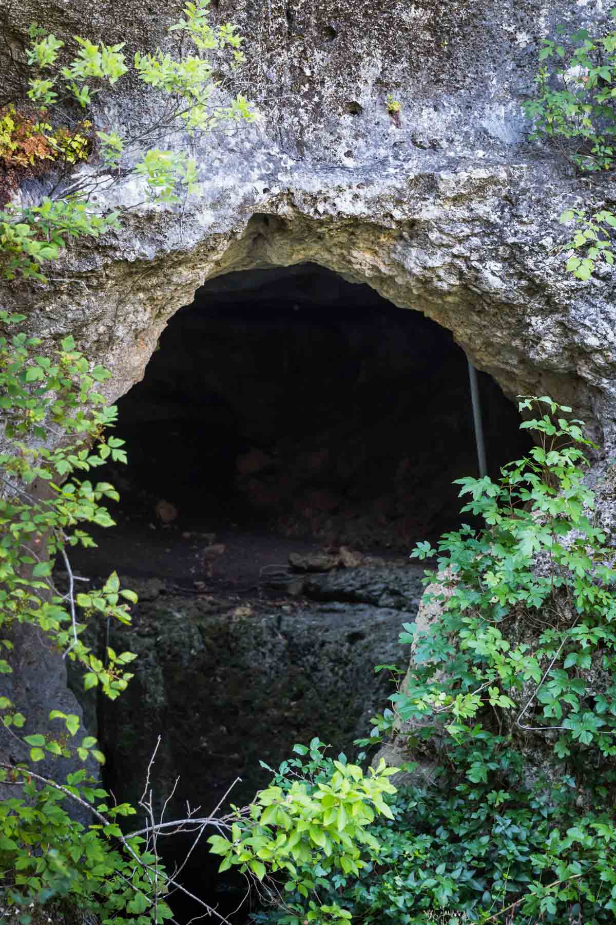 Stone entrance into Cascade Caverns with plants growing on outside for an article entitled, ‘Visiting Boerne, Texas: Everything You Need to Know’