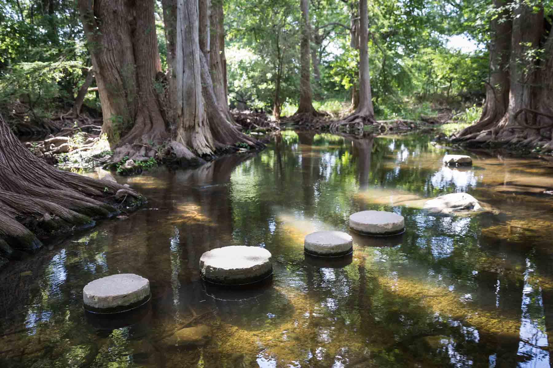 Round stone steps in the water surrounded by cypress trees for an article entitled, ‘Visiting Boerne, Texas: Everything You Need to Know’